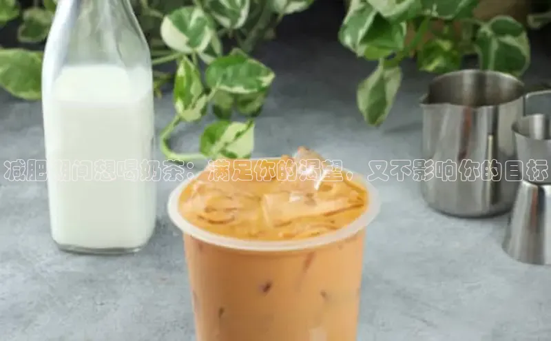 熊猫app官方网站百度网盘企业版