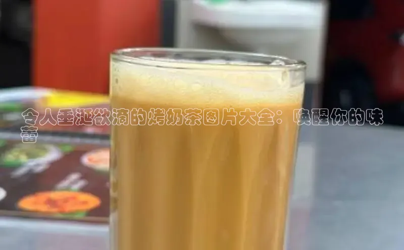 熊猫app下载百度翻译App