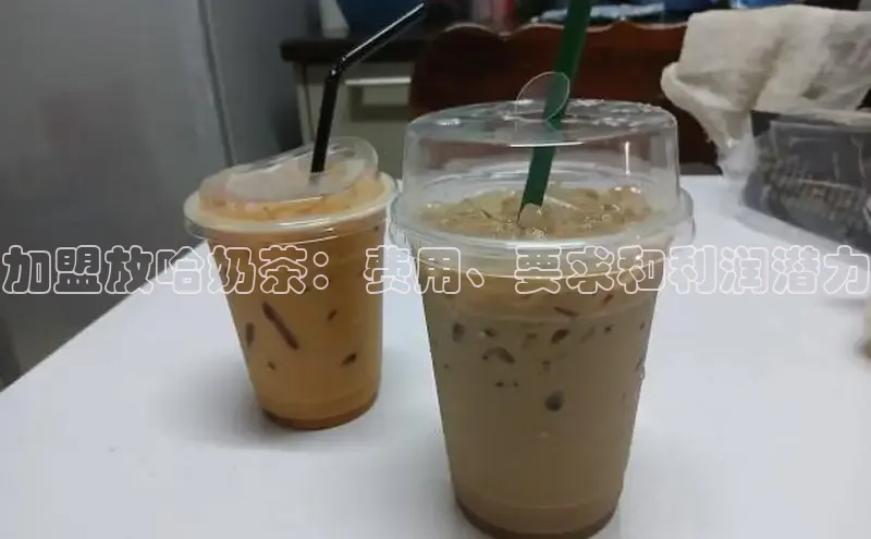 熊猫app官方网站视觉中国