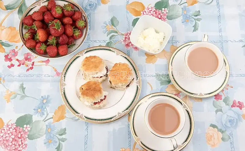 熊猫足球直播免费观看