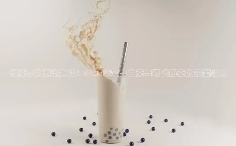 熊猫体育在线直播免费